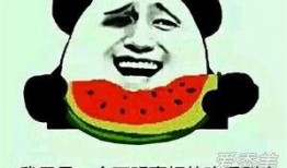 每日吃瓜 朝阳吃瓜群众什么意思,网络热词背后的文化现象