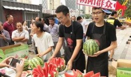 朝阳吃瓜网,揭秘娱乐圈最新热点，带你领略明星幕后故事